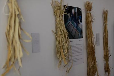 遇見和紙的無限可能 ZENA展覽展現紙張藝術的奇妙世界